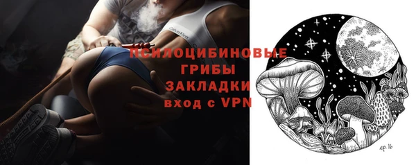 PSILOCYBIN Алзамай
