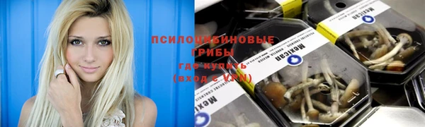 кокаин колумбия Алексин