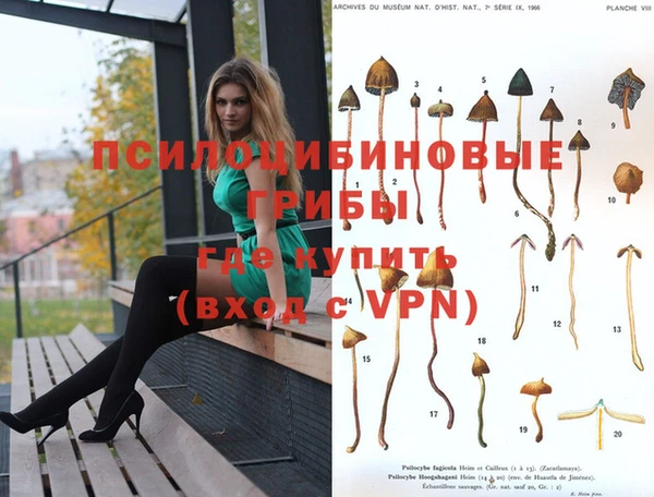 кокаин колумбия Алексин