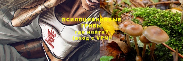 PSILOCYBIN Алзамай