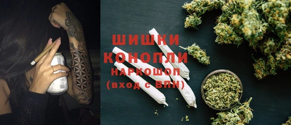 PSILOCYBIN Алзамай