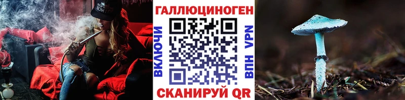 купить   Артёмовск  Псилоцибиновые грибы Cubensis 
